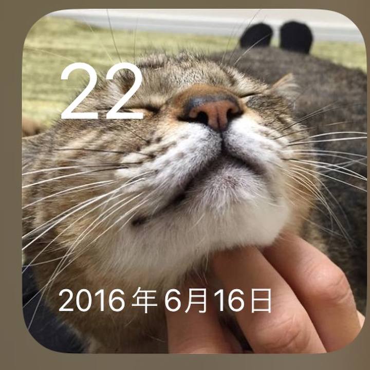 E8ddeb22 a103 4b1d ab97 52fccf34d3f0 1687436753211