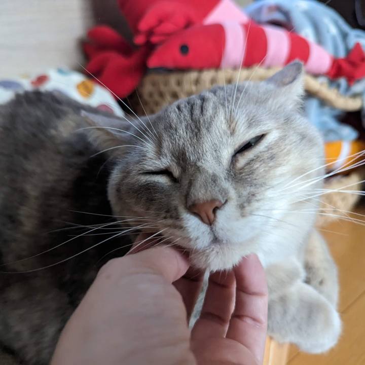 E8de0b88 98e8 423a a444 3cc1b3fc0b95 1700890160927