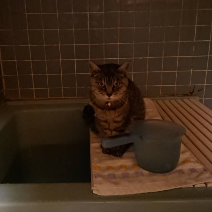 E8de2ec8 7351 4dde 92ee 88ed07473502 1572770385604