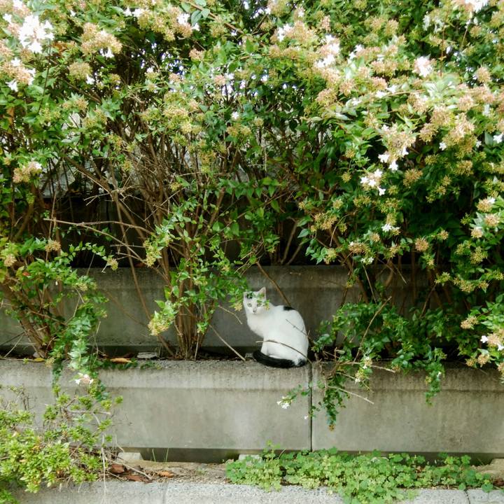 E8de64be d424 4902 b9bd 10d60ad2d523 1539388592740