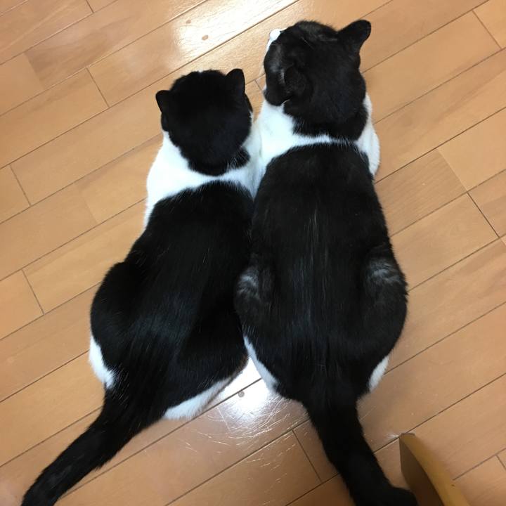 E8de74a7 c084 44c8 9e4f 189a6f384b4c 1566646975677