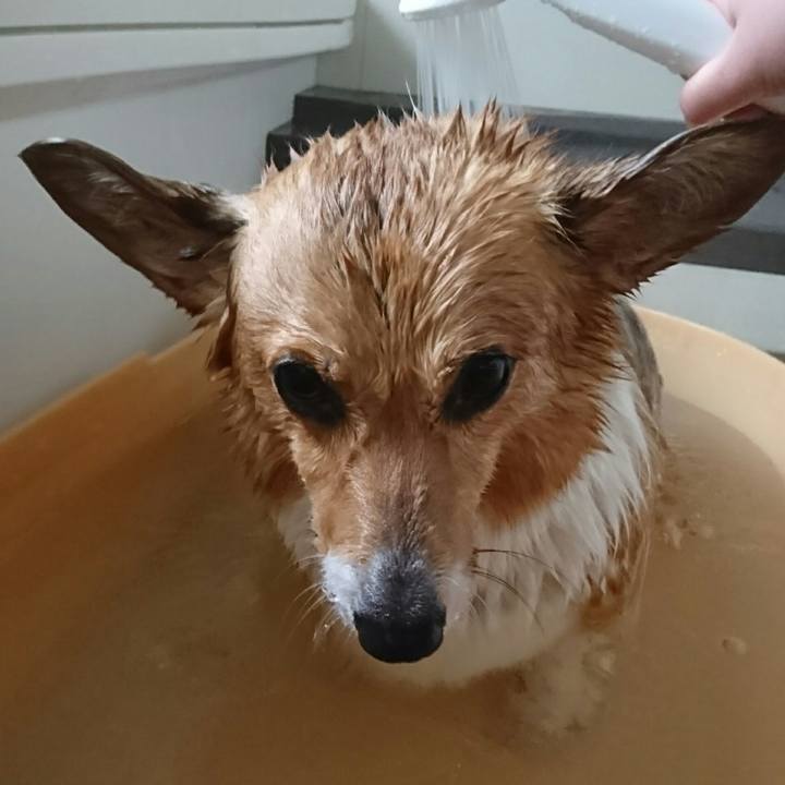 E8deadfe 5d3c 4bb1 b70b e351615c39df 1553944525425