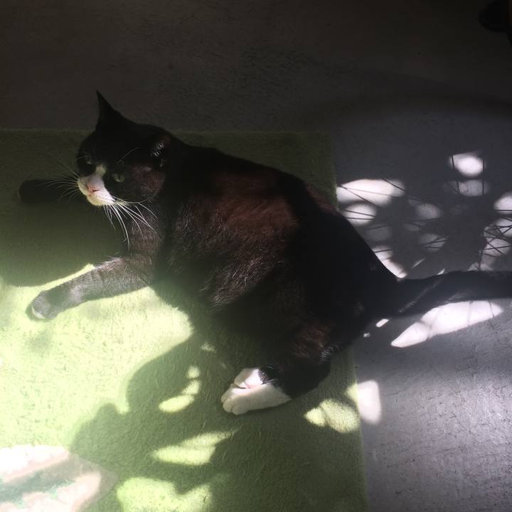 E8dec24f 803c 4924 ae9c d1b9121bec7e 1539171574383