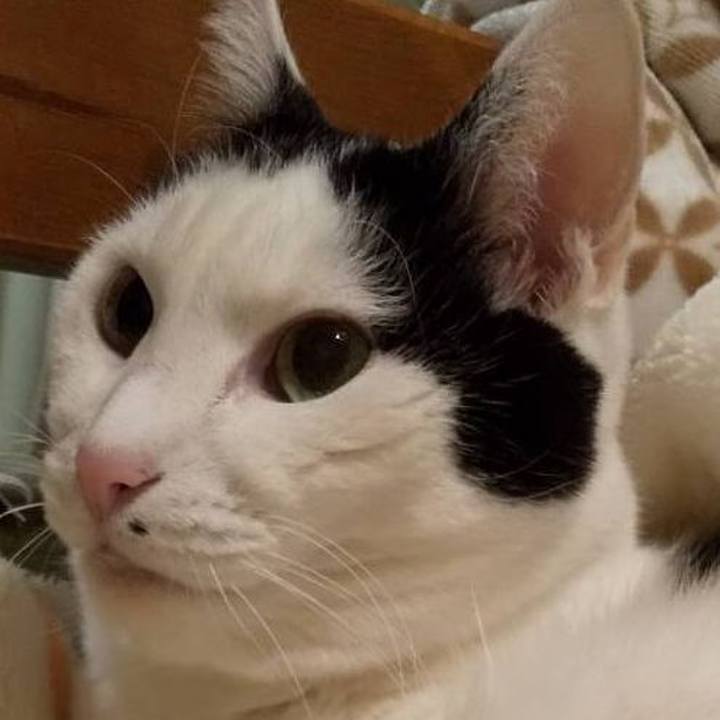 E8df33e3 9e1d 4294 b538 3a5fda85f5d6 1643319642534