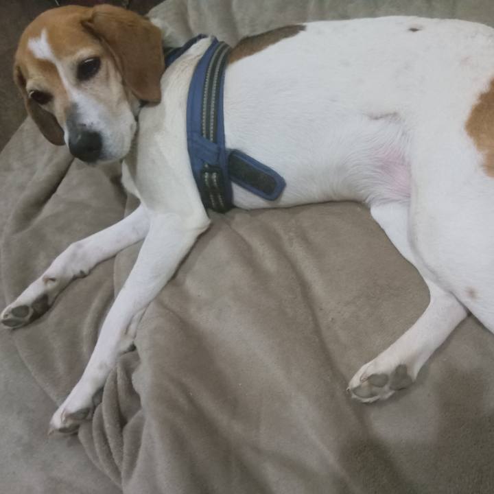 E8dfa68f 9403 4897 a163 962b01834275 1746711643146