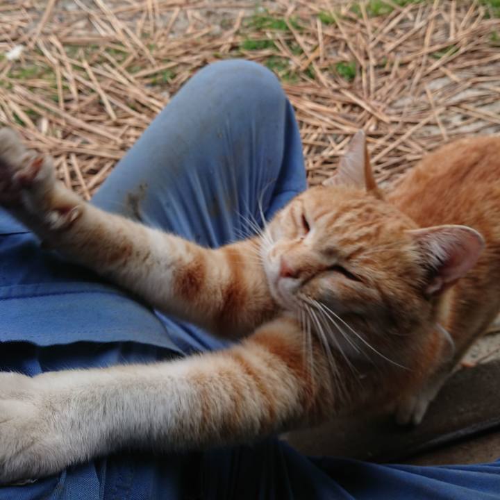 E8dff088 7cb8 4a1b b6ce e663f5c8fc15 1589610723135