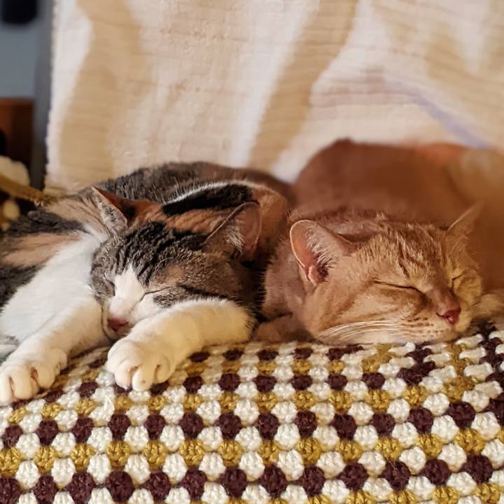 E8e003fa a2c2 481d b2cd ad3fe0d3c658 1769932613027