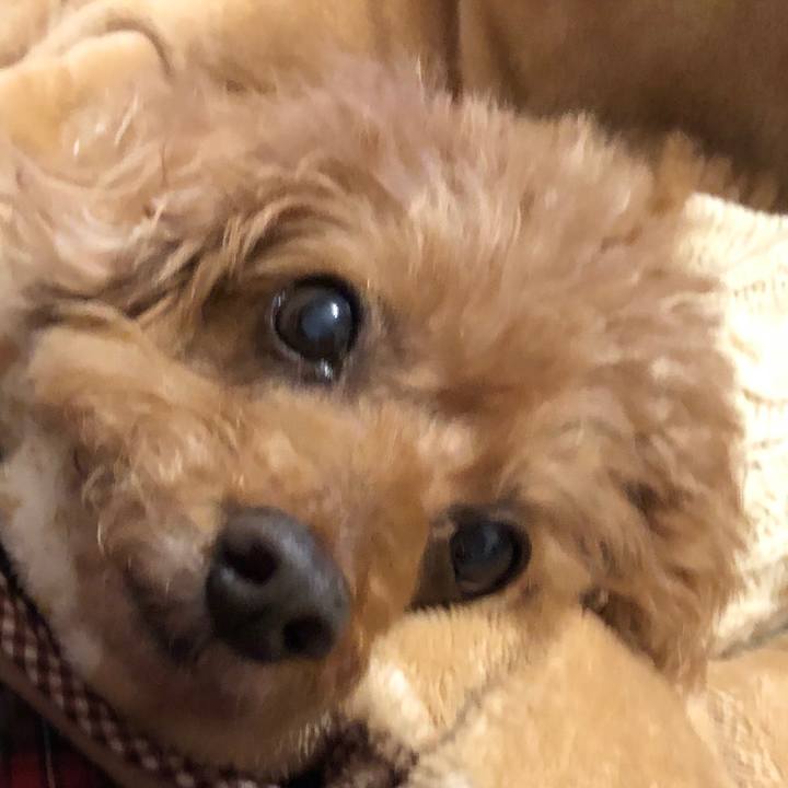 E8e031fb 6f62 43a9 bef3 d3594e442e6b 1546866522117