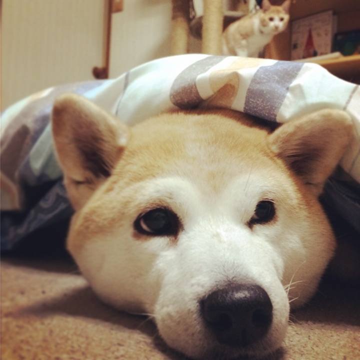 E8e055d4 249e 4a54 adbb 939b60335672 1514338156621