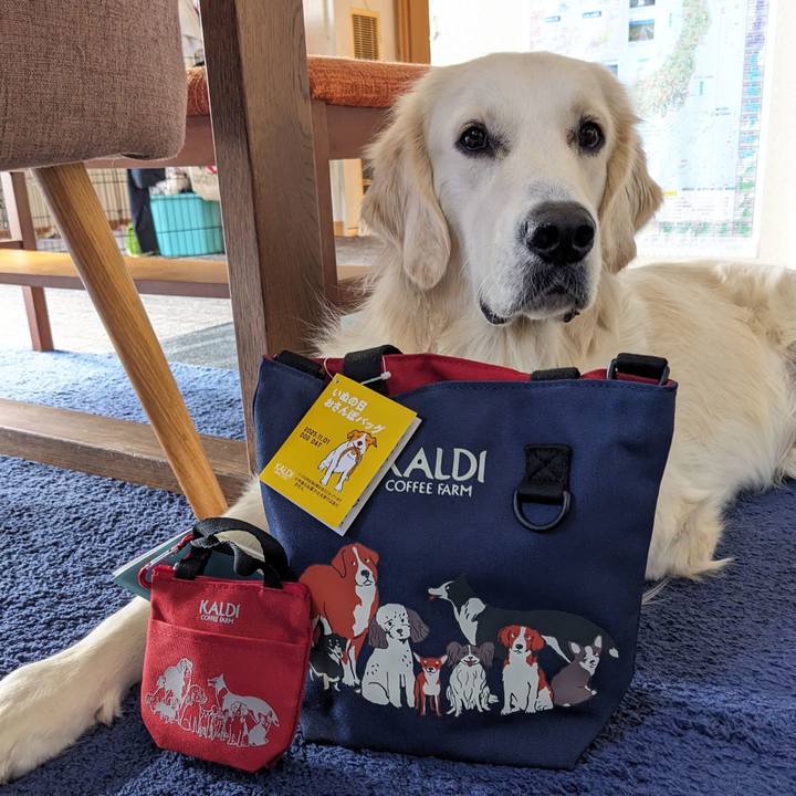 E8e0751f 4a1d 4bfd 9af8 399fa172786e 1761969833560