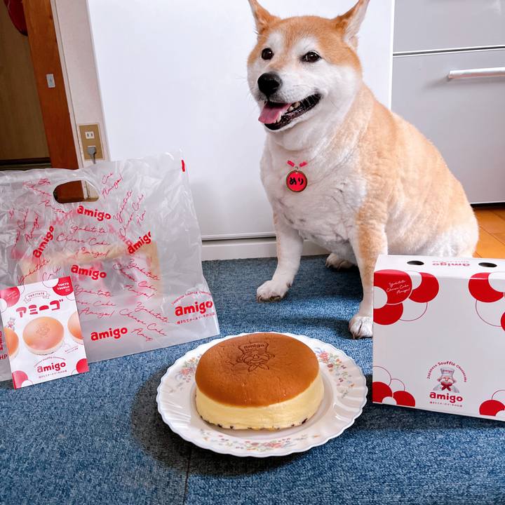 E8e0a30d f096 4e1b b427 f2c44a40097b 1715665597073