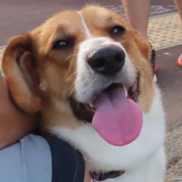 E8e0c780 9ade 4ee0 8b14 18a42b298114 1630540516885