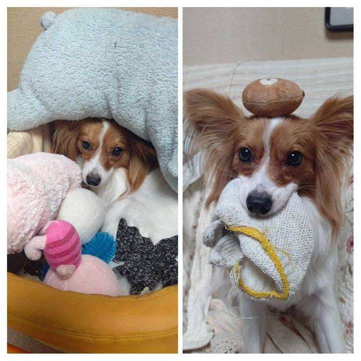 E8e0ca54 b7aa 4e7e b6af 71d60aa3dc1b 1629118658582