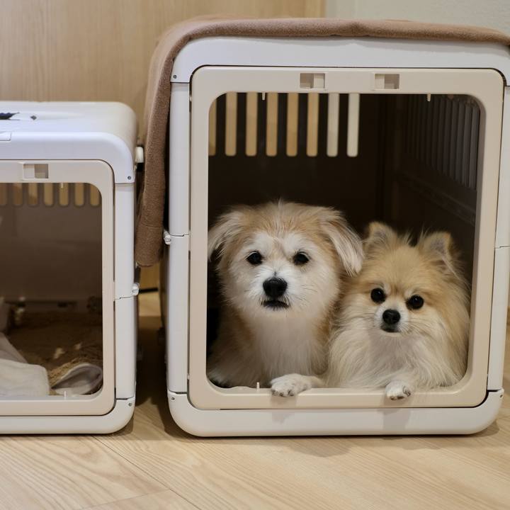 E8e0d1f6 d9f2 416c 8ed3 b619e6dc0f9d 1761515731764