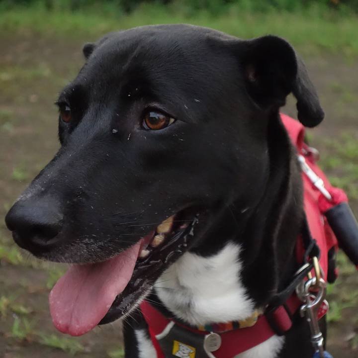 E8e0ec2b 3e96 4177 aa5a 408e561221d7 1593860375730