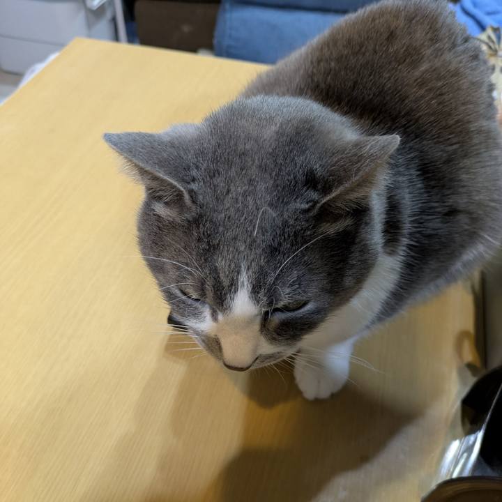 E8e10003 1540 48fc bf42 16b51ee7fe25 1769778718935