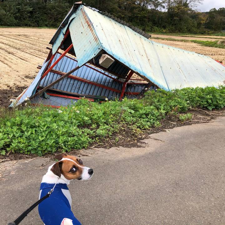 E8e1173a 9230 469f b309 11edddee66d9 1571653340972