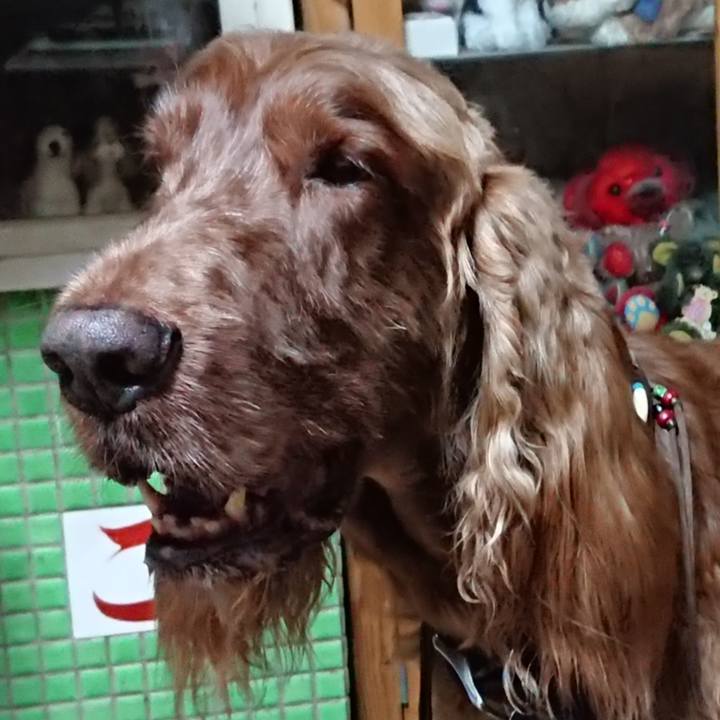 E8e145de 5284 4e12 ae63 7daee25f298f 1589657150897