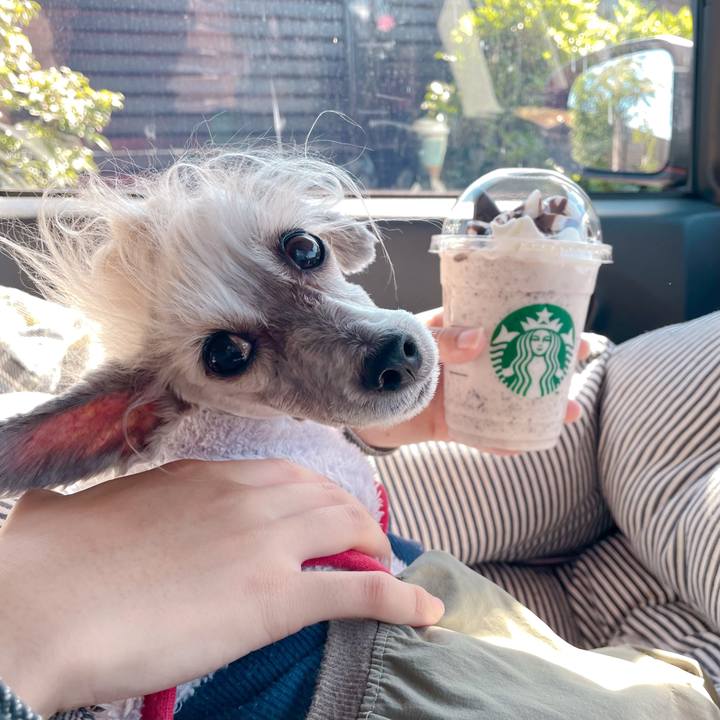 E8e15fa0 a846 4a7e a43a 87bc1f6cb3ed 1761280095526