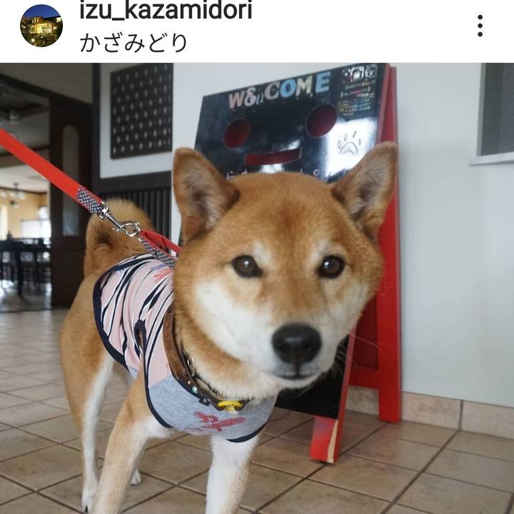 E8e17810 a33c 4a63 8e0b 8cc2624f5083 1617086332529