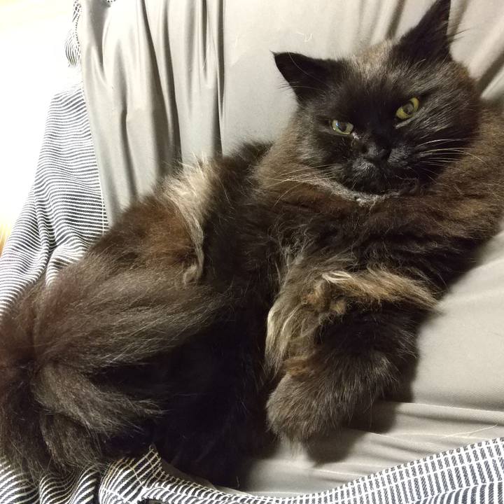 E8e191de fd8f 461a afe1 296ff494d173 1593178793205