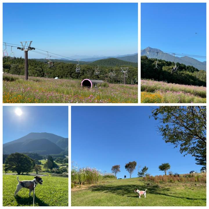 E8e19916 bd40 4eb2 989a 7005978b7528 1632220004898