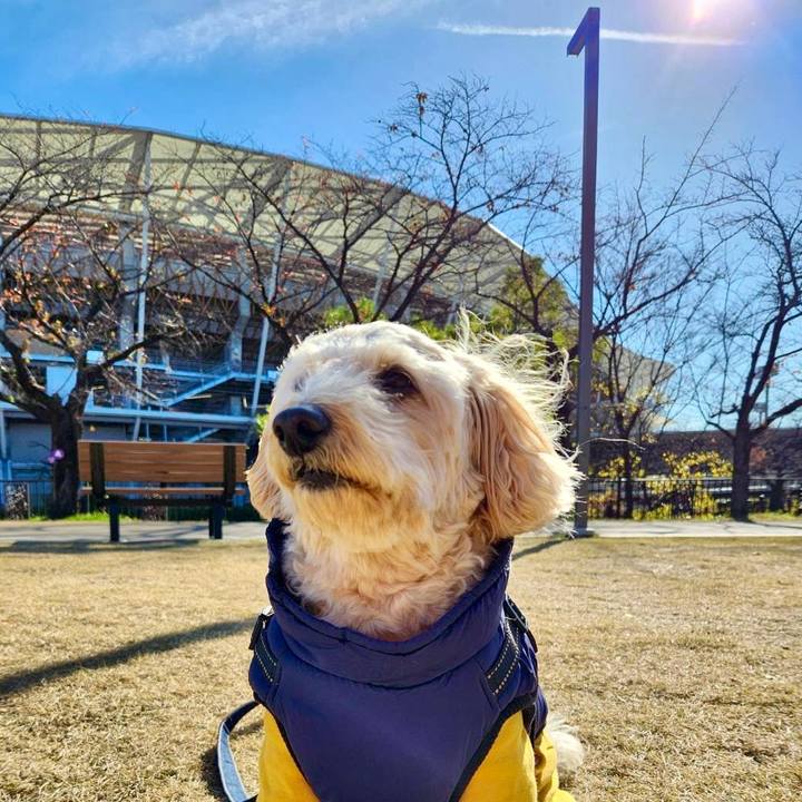 E8e19e89 bc01 428c 82c5 e2596f64f159 1765508231605