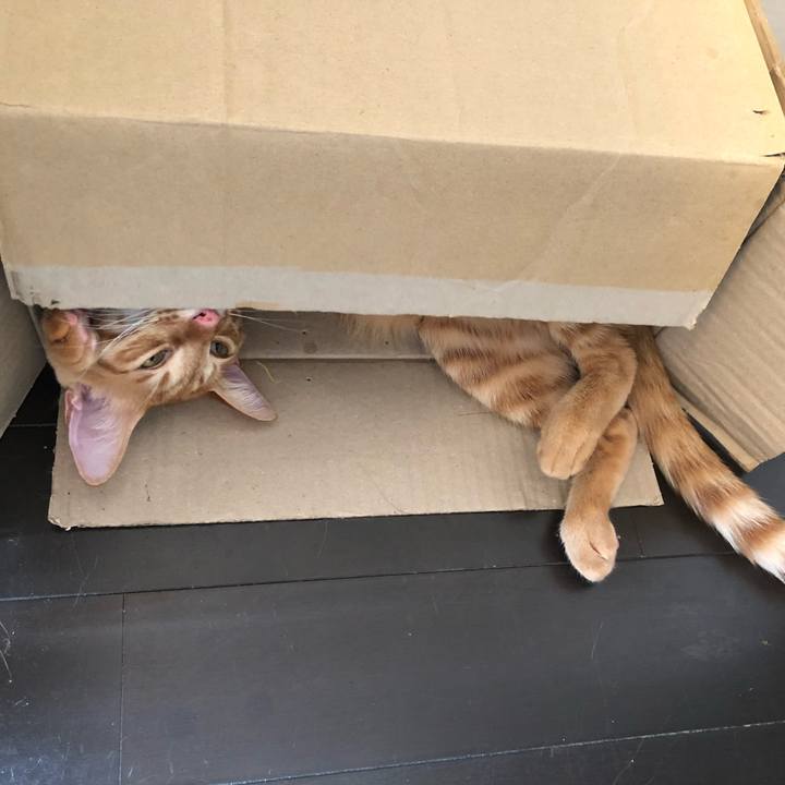 E8e1add1 3577 47bf 9fd3 19bcedb1c17e 1634256008665