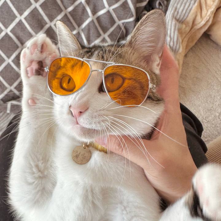 E8e1b4bb 1936 4c5c 8001 59386b9555f6 1763267901628