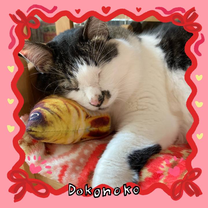 E8e1bd42 0ba5 4f20 8062 b647b4357387 1706766264299