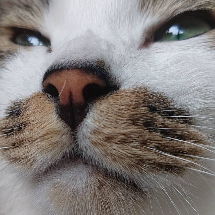 E8e23eb2 02ba 4cc9 93d6 16f4a1f52a88 1685493606554