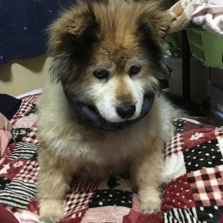 E8e25863 9a4a 4f5d 9078 53ab5b1853e5 1610859386385