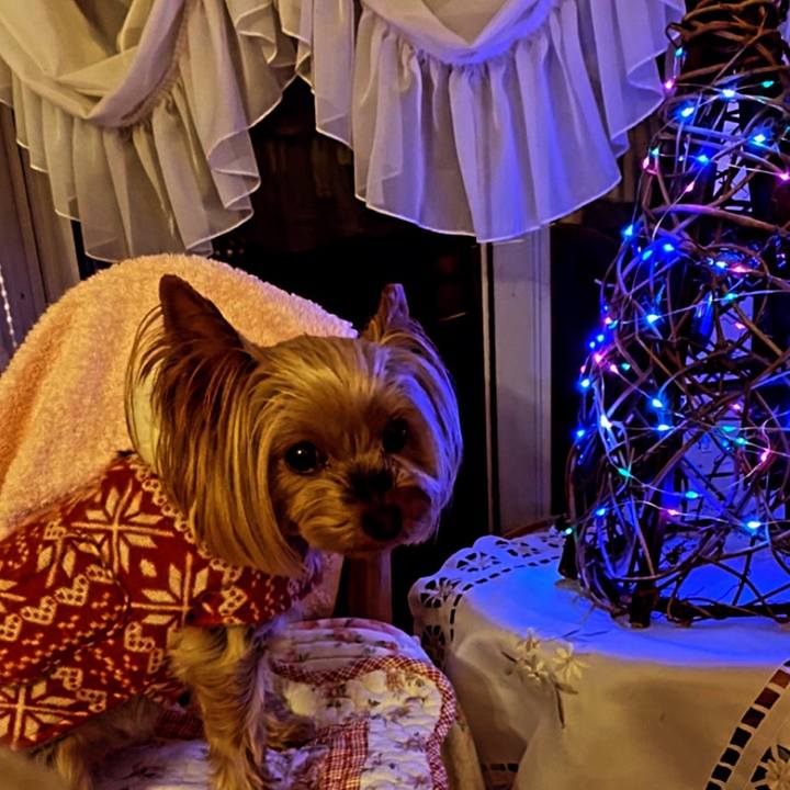 E8e2713b 7a79 4226 a923 5edcfe45b21e 1640385146968