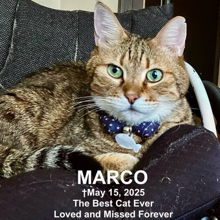 E8e2734b e880 4103 8723 d2c0c75f8ad4 1766717681580