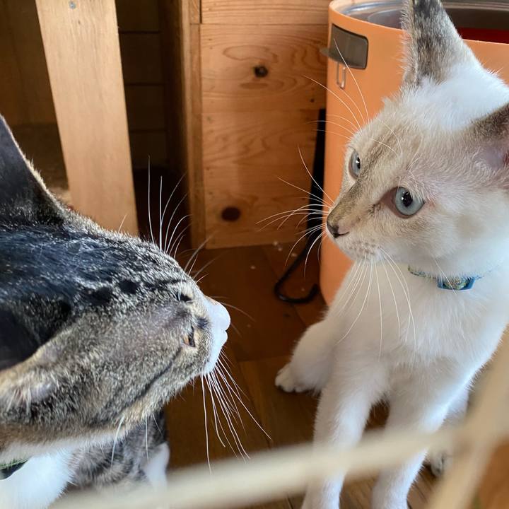 E8e27a4e ed25 4662 8729 457f4f60ce9d 1631762506554