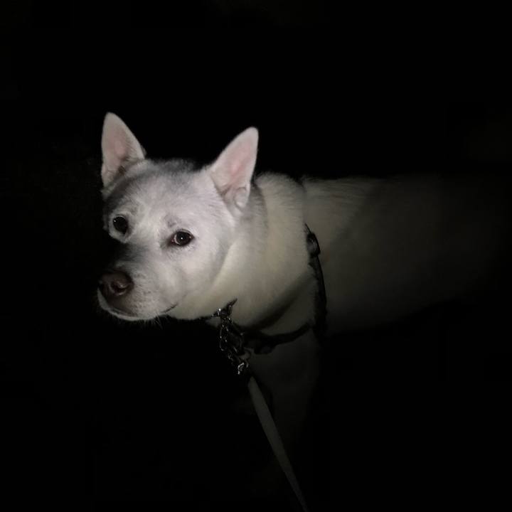 E8e2b0cd 1423 46cb abc7 81f9bf649bb2 1581604484907