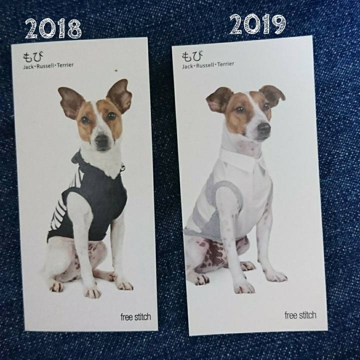 E8e2b545 f298 446f 9729 ed71c2424d39 1564630610637