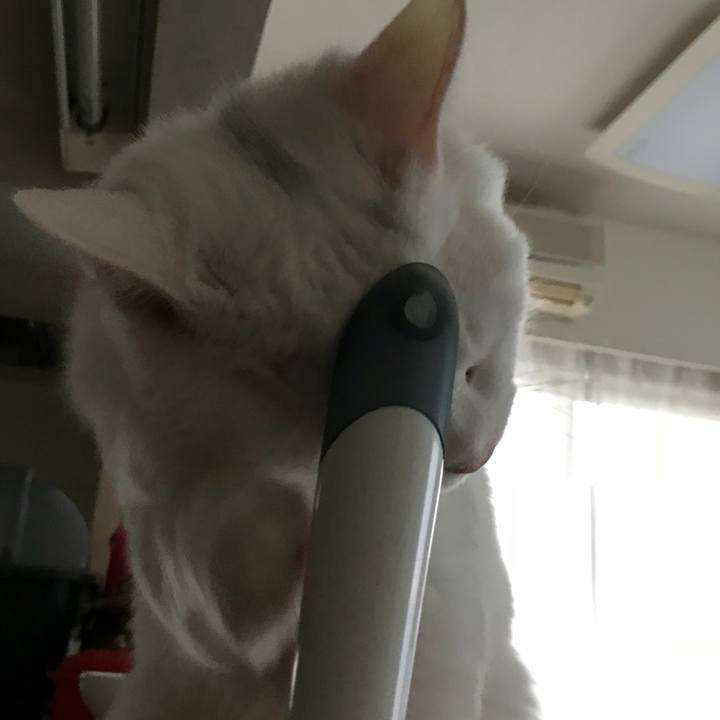 E8e2c8db 6d5d 4b04 a085 d562df7531bd 1518754235095