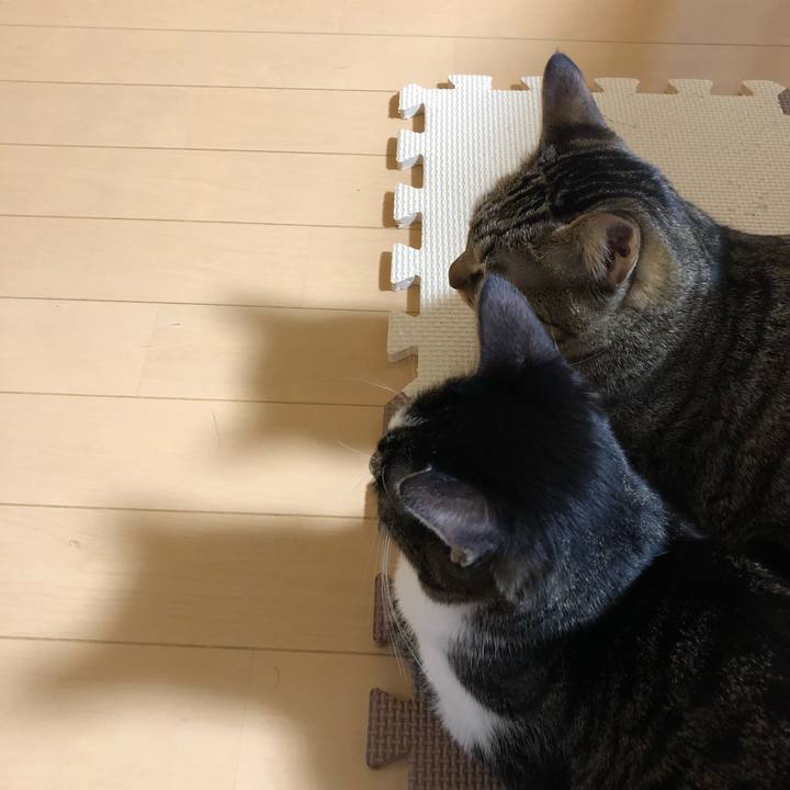 E8e2ee11 0391 41b2 8e60 9fa51ceae0db 1515591133948