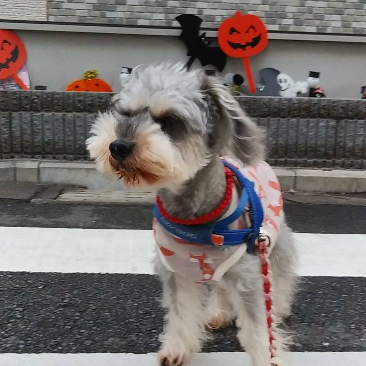 E8e2fb12 b353 4b0a a722 93aa07479547 1666737641563