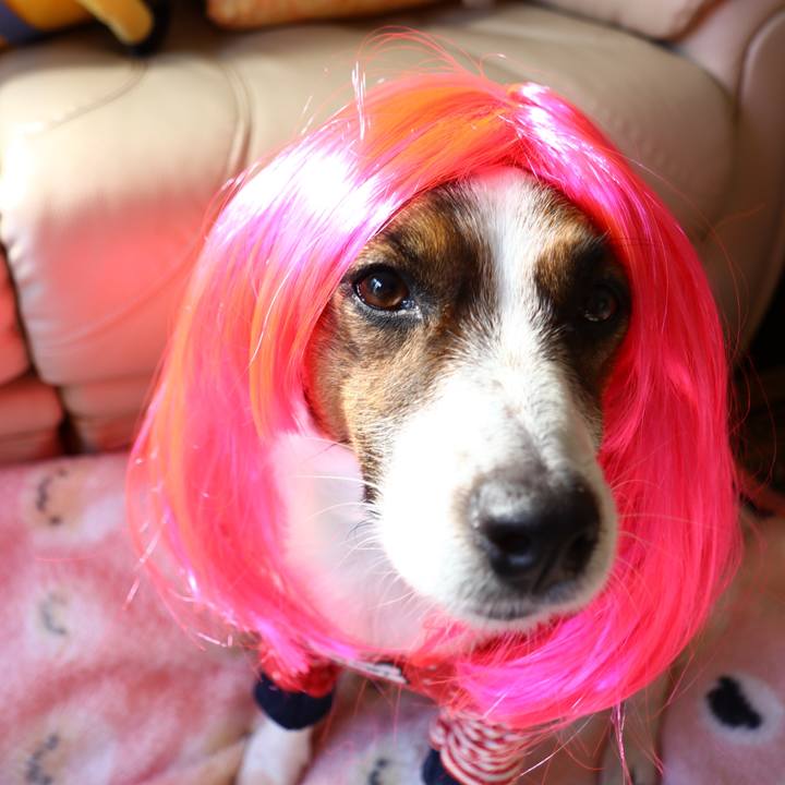 E8e32e0c 368c 4758 92af d5c0e095b6a7 1546573840316