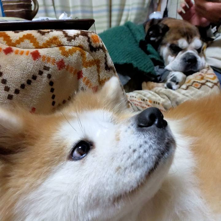 E8e3496a 53e9 4199 9d7d f60044221c27 1669206731575