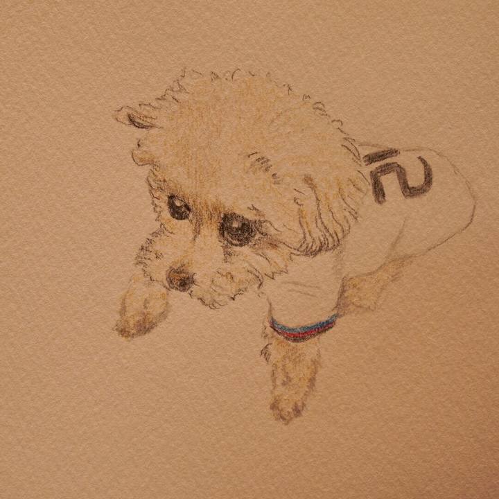 E8e35fb2 c75a 4714 8b83 962d28e9295f 1748616882044