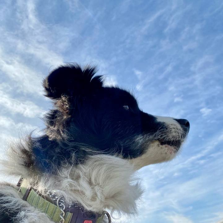 E8e3794d e44f 405a 8af0 4bfef006c326 1637458024066