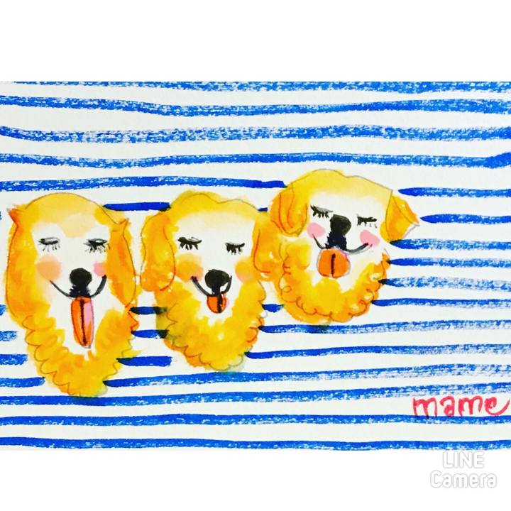 E8e38dac 6041 4a58 b0b0 ffcf8c63b72f 1615219603063