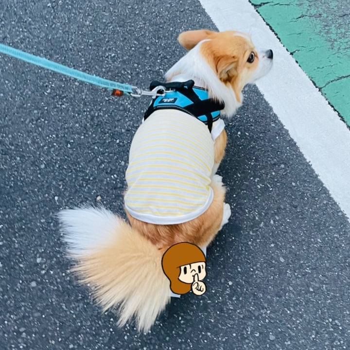 E8e38dbd 02a4 469d bd8a 2c6d8df713c2 1623851855195