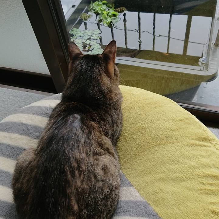 E8e3a69b 6efe 440c adb6 a886db3cc0aa 1620180694609