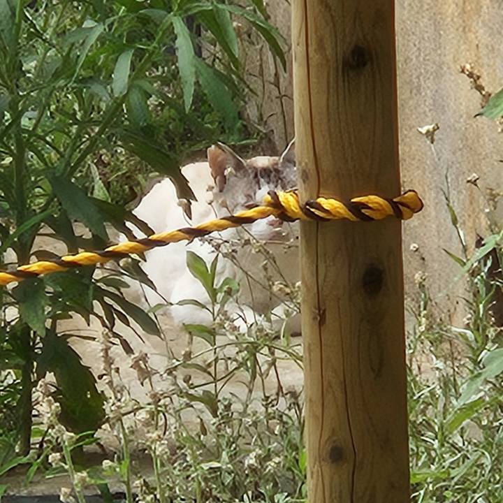 E8e3fff2 c08a 4383 b261 0f886927f3bc 1719207833659