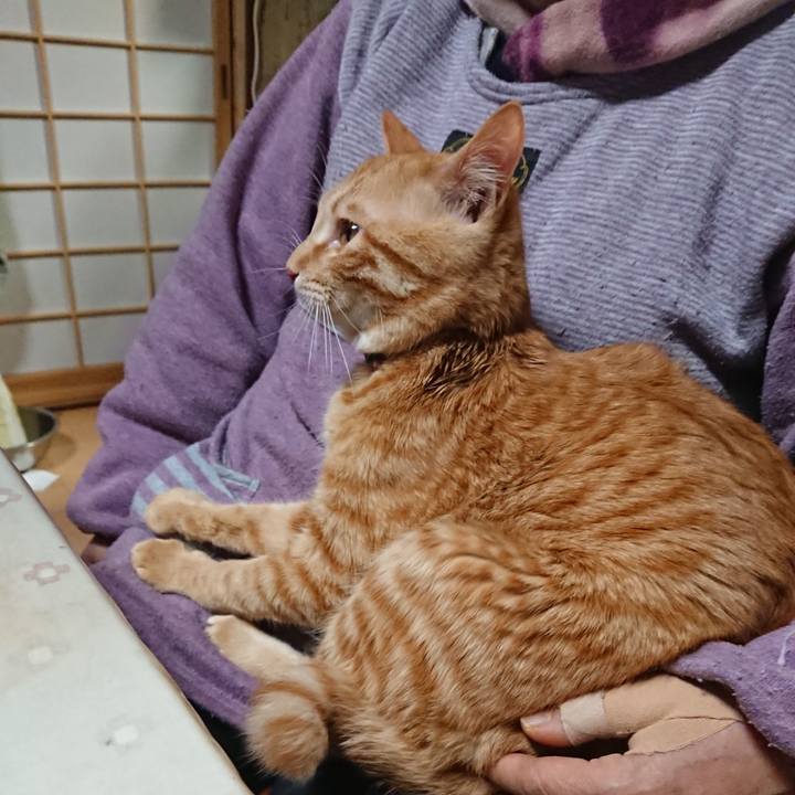 E8e409f1 6806 40eb 9fcb 3cc9d5d06f4d 1645523007552