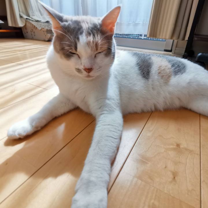 E8e4234e 92e4 4fa7 a3c5 3efd335e32df 1664680145996